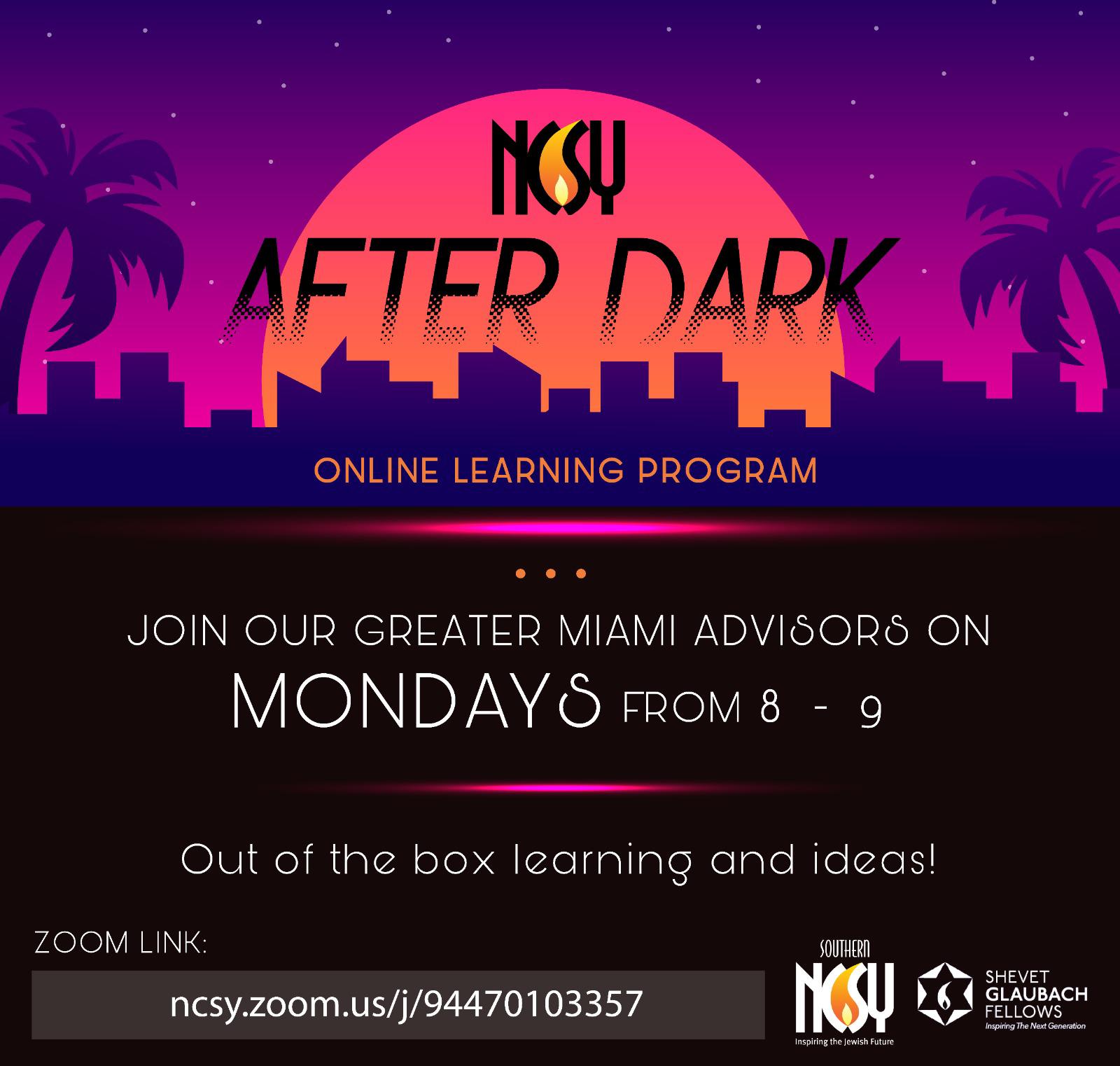 NCSY After Dark