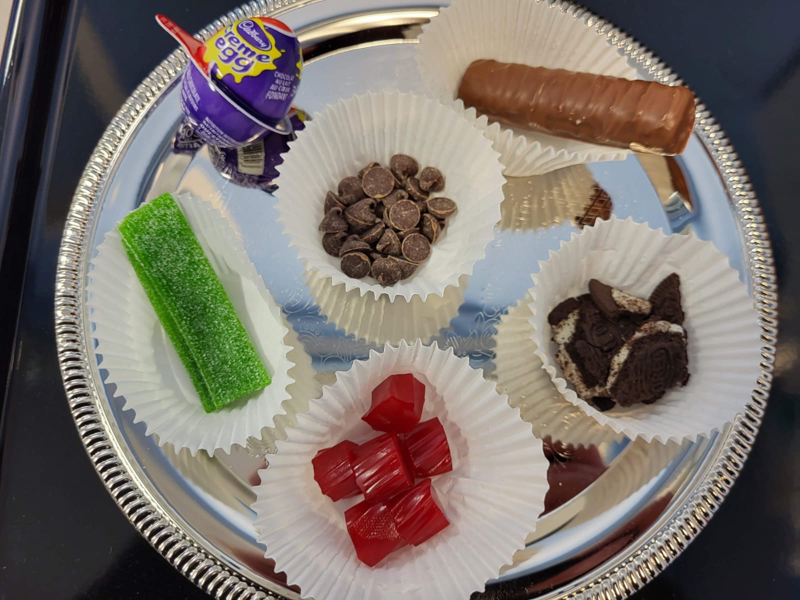 Shevet Glaubach Fellows lead mock Seder in Ottawa