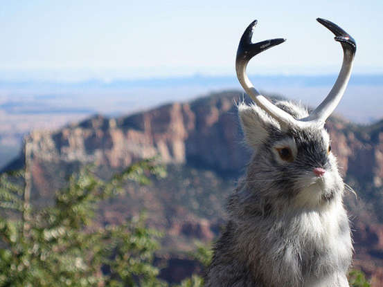53. Which mythological creature is this?