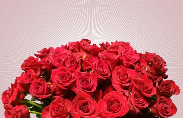 18. If someone gives you this flower, they