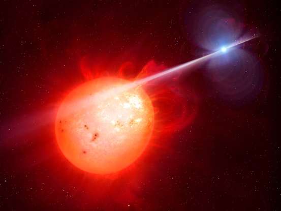 12. Most stars in the universe are which of the following types?