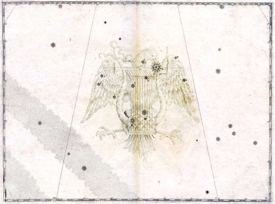35. Which constellation is this?