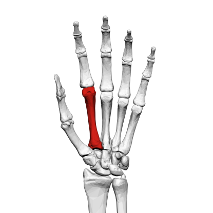 15. Which bone is this?