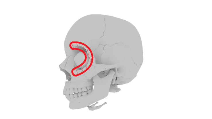 20. Which bone is this?