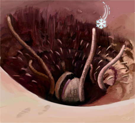 18. Where on Tatooine is the sarlacc located?
