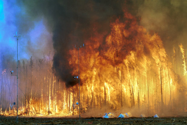 27. Smoke from wood or burning grass is a common asthma trigger. True or false?