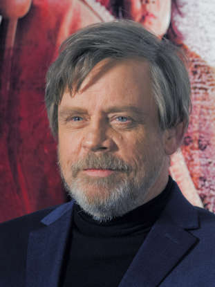 20. Who accompanies Rey in her quest to find Luke Skywalker?