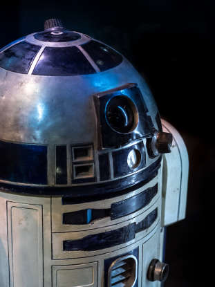 23. The First Order