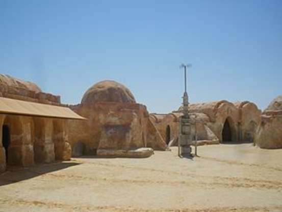 5. How do Qui-Gon Jinn and Watto decide whether to potentially free Anakin or Shmi Skywalker?
