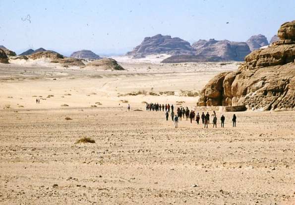 24. How many years does Israel spend wandering in the Sinai Desert?