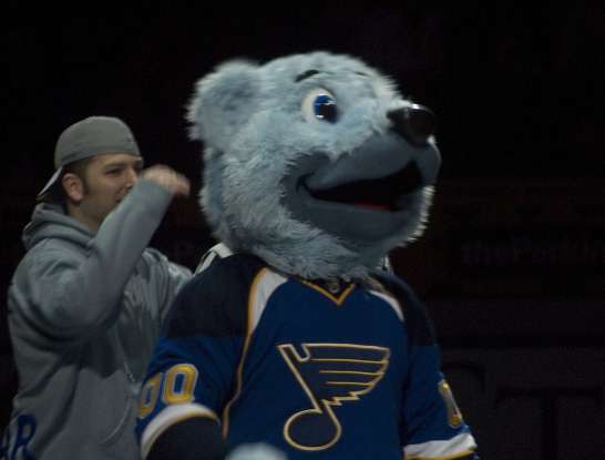7. Louie is the mascot of the St. Louis Blues. Louie is which type of animal?