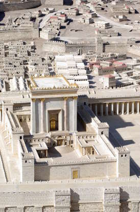 25. Jesus rode into Jerusalem on what animal?