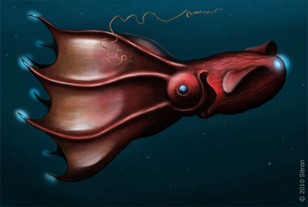 15. Which deepwater creature is this?