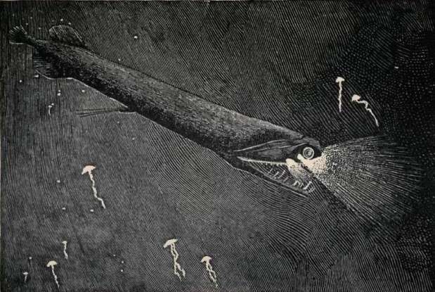 21. Which deepwater creature is this?