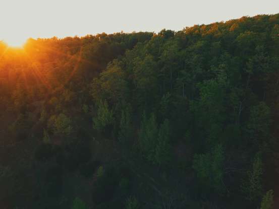 21. What type of energy is produced in the Sun?