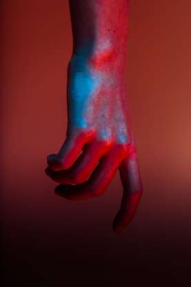 35. Which body system controls the hormones released into the bloodstream?