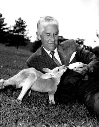 38. Which 60s television show features wildlife and nature?
