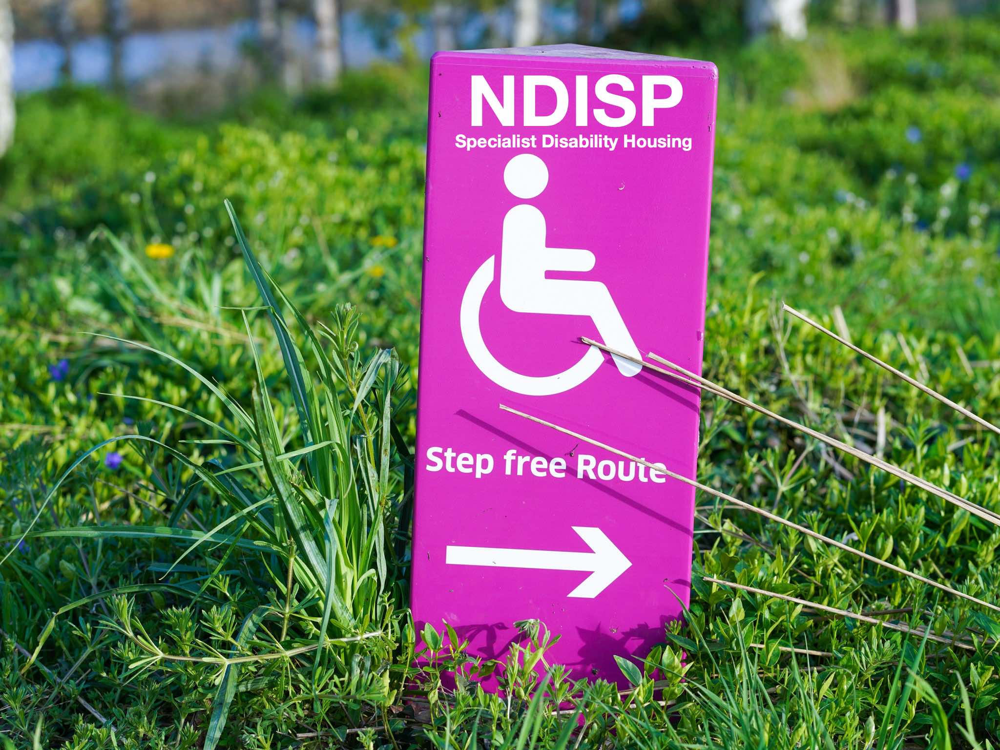 NDISP_step free image_300k NDISP_step free image_300k