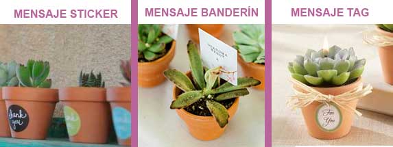Plantas recordatorios eventos sociales con personalización.: Mensaje en sticker; mensaje en banderín y mensaje en tag.