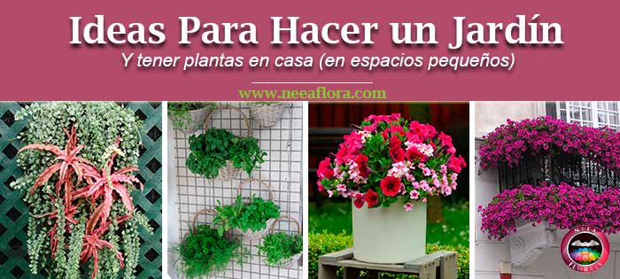Post ideas para hacer un jardín y tener plantas en casa en espacios pequeños. Neea Flora