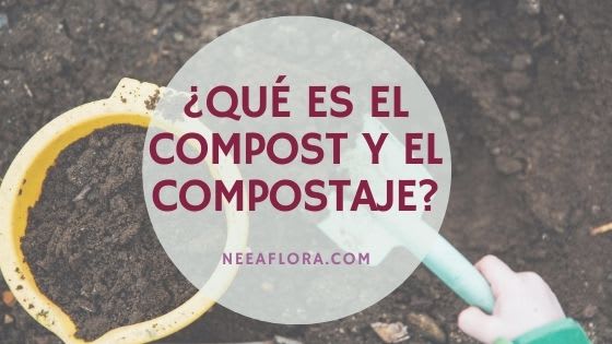 ¿Qué es el compost? y ¿qué es el compostaje? Blog Neea Flora