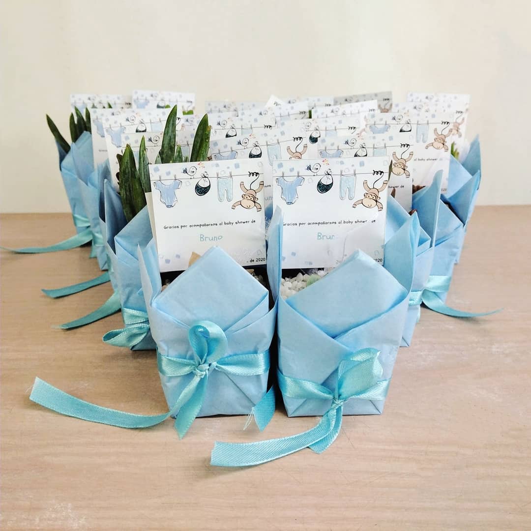 Suculentas para recordatorios matera plástica 5cm papel - Neea Flora