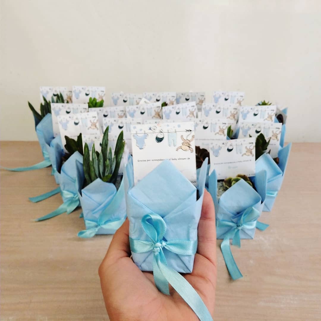 Recordatorios suculentas matera plástica 5cm papel