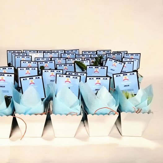 Recordatorios corporativos plantas suculentas matera plástica 5cm cuadradas caja- Neea Flora