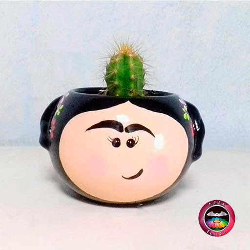 Cactus matera cerámica Frida