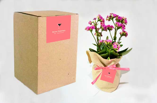 Planta con flor Kalanchoe bolsa yute personalizada