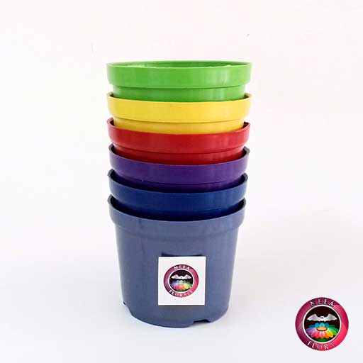 Materas plásticas 8cm colores vertical Neea Flora