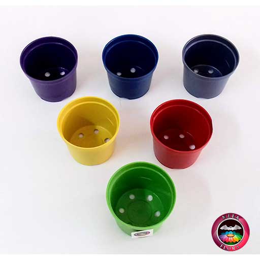 Materas plásticas 8cm colores superior Neea Flora