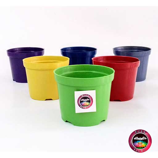 Materas plásticas 8cm colores frontal Neea Flora