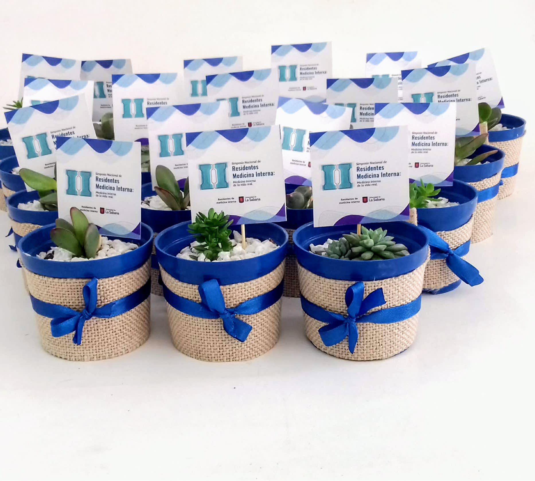 Suculentas matera plástica yute 8cm recordatorios