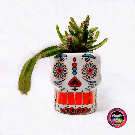 Suculenta matera cerámica catrina mexicana