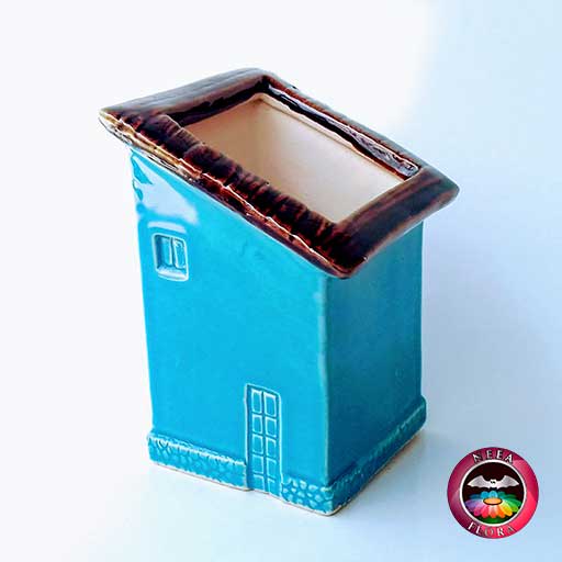 Maceta cerámica casa diagonal azul dg vivero Bogotá