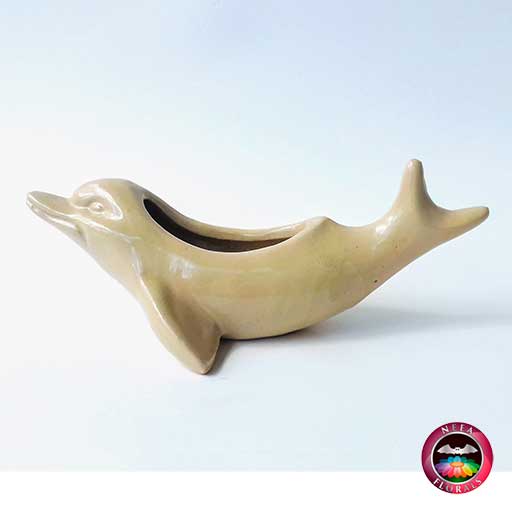Matera cerámica animales delfin crema frontal Neea Flora