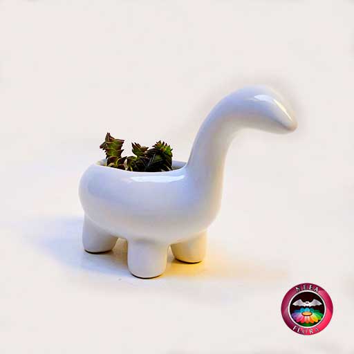 Suculenta matera cerámica animales dinosaurio diagonal Neea Flora