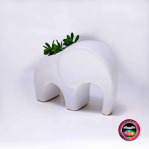 Suculenta matera cerámica animales elefante angulado diagonal Neea Flora