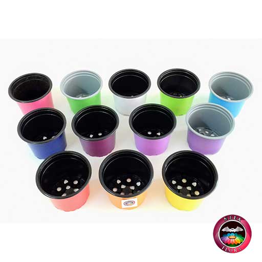 Macetas plásticas 9cm colores superior Neea Flora