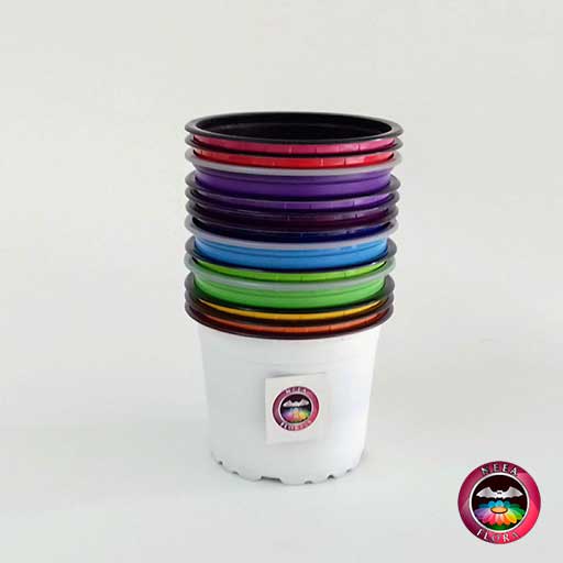 Materas plásticas 9cm colores vertical Neea Flora