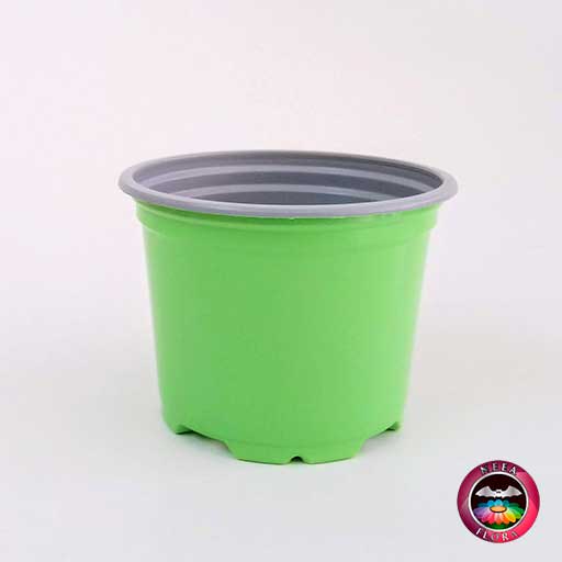 Materas plásticas 9cm colores verde vivo frontal Neea Flora