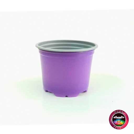 Materas plásticas 9cm colores morada clara frontal Neea Flora