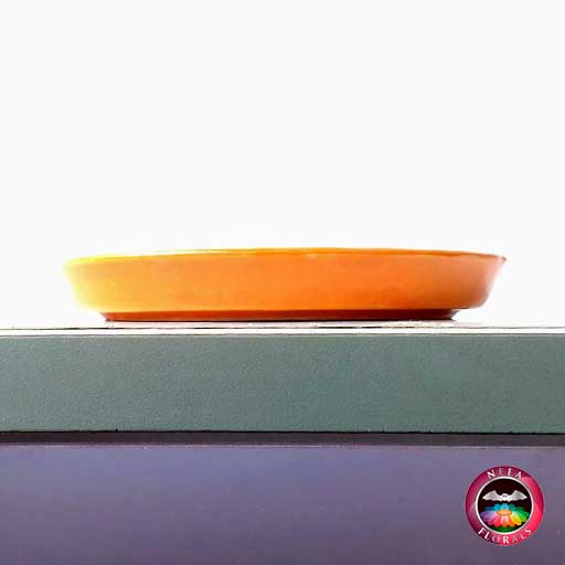 Plato de matera cerámica naranja lateral Neea Flora