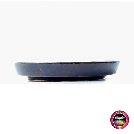 Plato de matera cerámica azul oscura lateral Neea Flora