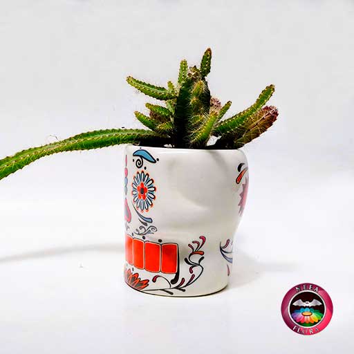 Cactus matera cerámica calavera diagonal Neea Flora