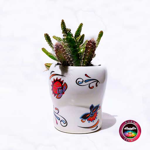 Cactus maceta cerámica catrina mexicana diagonal Neea Flora