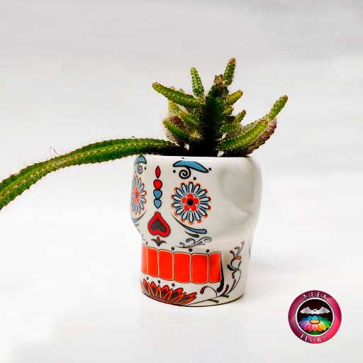 Cactus maceta cerámica calavera diagonal Neea Flora