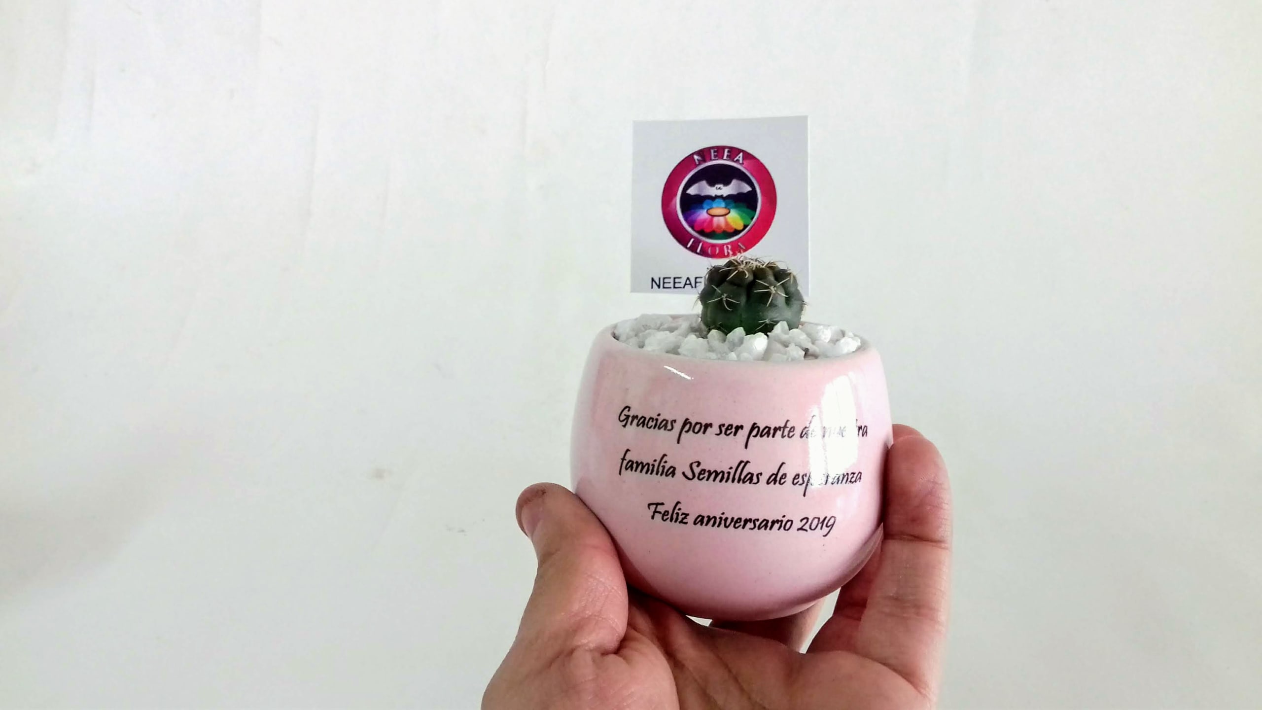 Cactus matera cerámica horneada con mensaje personalizado. Recordatorios Bogotá Neea Flora