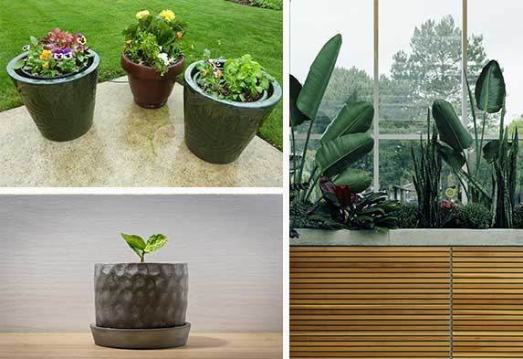 Post ideas para hacer un jardín Plantas y jardines en macetas materas Neea Flora